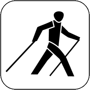Walking Logo