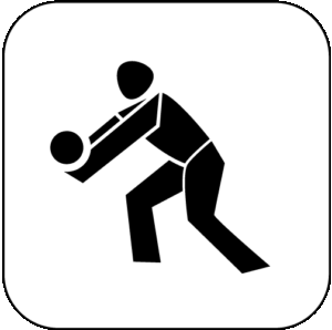 Volleyball Logo